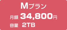 専用サーバーMプラン